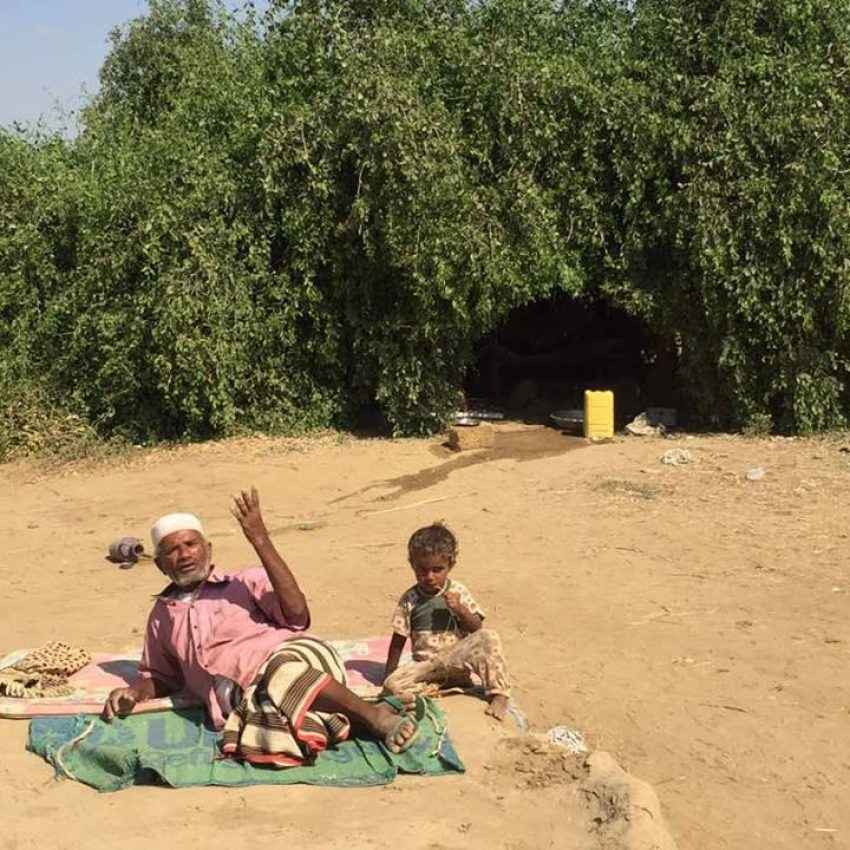 أخبار محلية قصة مواطن يمنى يتخذ من شجرة الأراك مسكنا له واسرته