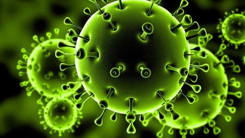 وزارة الصحة : اليمن خالية من فيروس "كورونا"