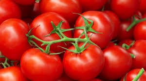 ارتفاع غير مسبوق لأسعار الطماطم في عدن