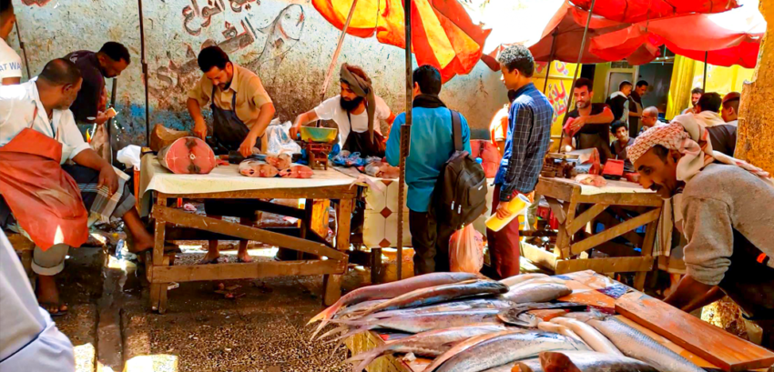 إجراءات جديدة من أجل تنظيم بيع الأسماك في تعز