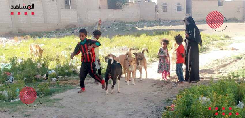 الكلاب الضالة.. موت يتربص بأطفال اليمن