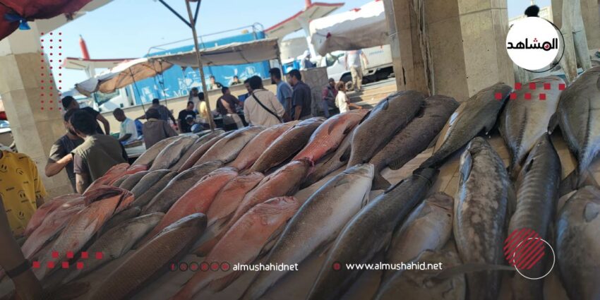 تراجع حجم الاصطياد السمكي في محافظة المهرة